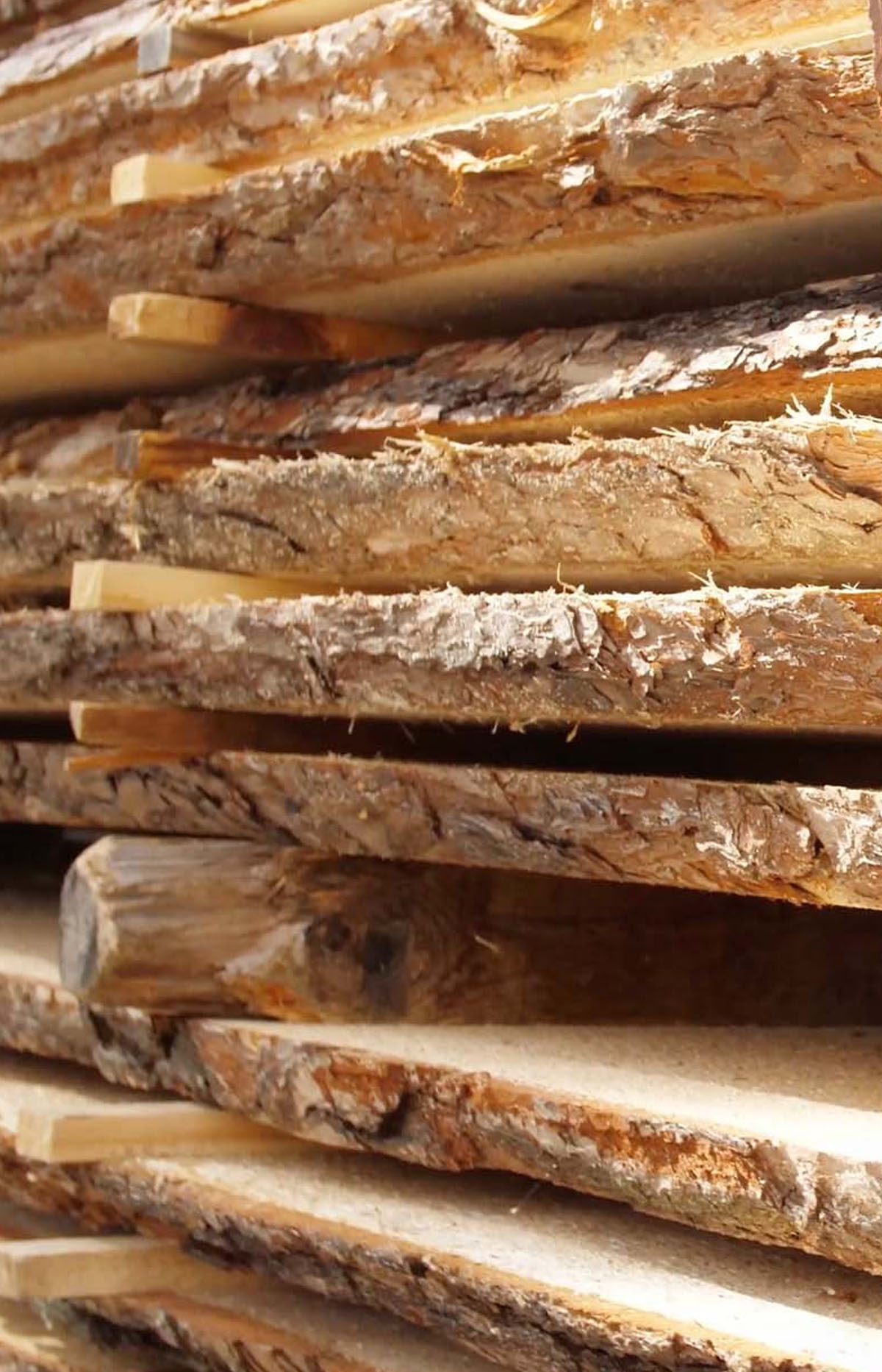 Il legno, materiale sostenibile